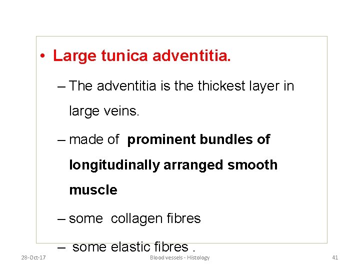  • Large tunica adventitia. – The adventitia is the thickest layer in large