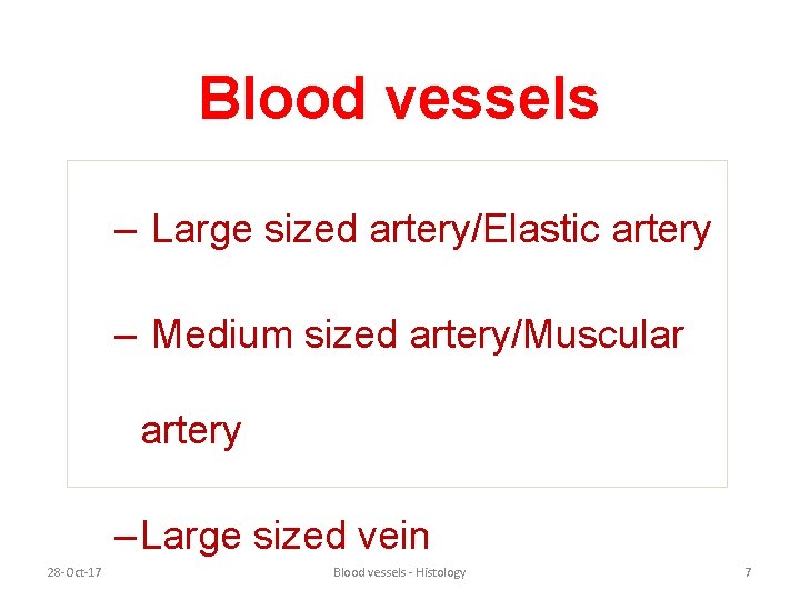 Blood vessels – Large sized artery/Elastic artery – Medium sized artery/Muscular artery – Large