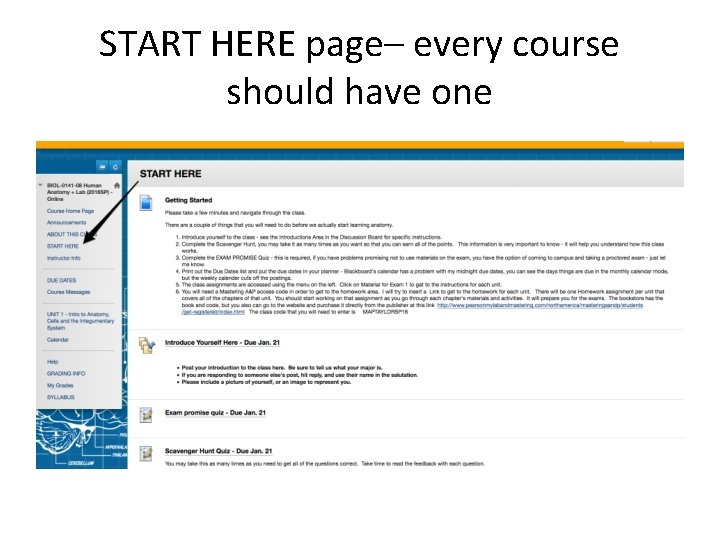 START HERE page– every course should have one 