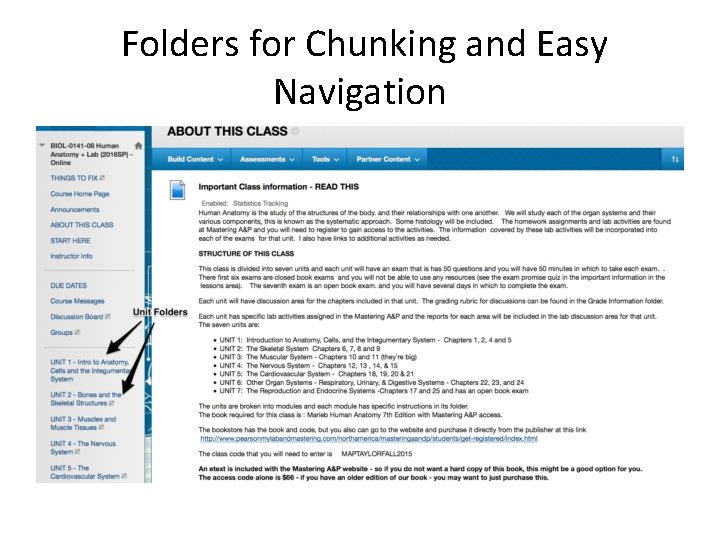  Folders for Chunking and Easy Navigation 