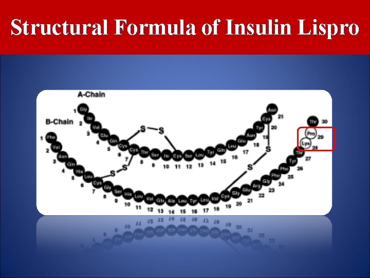 Structural Formula of Insulin Lispro 