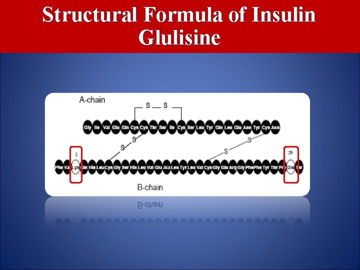 Structural Formula of Insulin Glulisine 