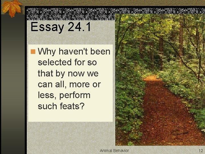 Essay 24. 1 n Why haven't been selected for so that by now we