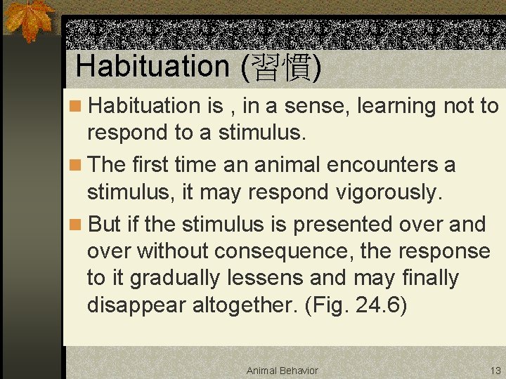 Habituation (習慣) n Habituation is , in a sense, learning not to respond to