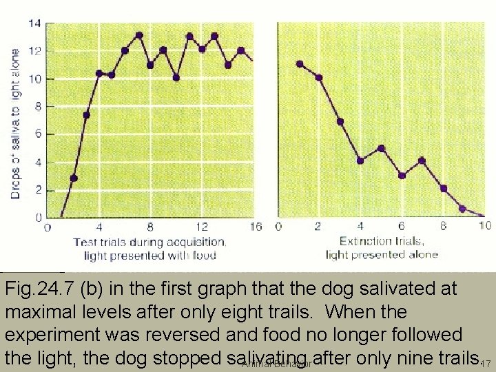 Fig. 24. 7 (b) in the first graph that the dog salivated at maximal