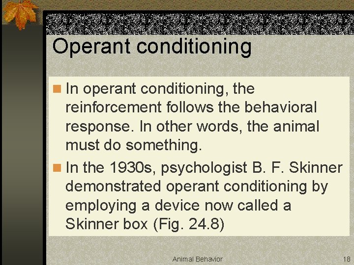 Operant conditioning n In operant conditioning, the reinforcement follows the behavioral response. In other