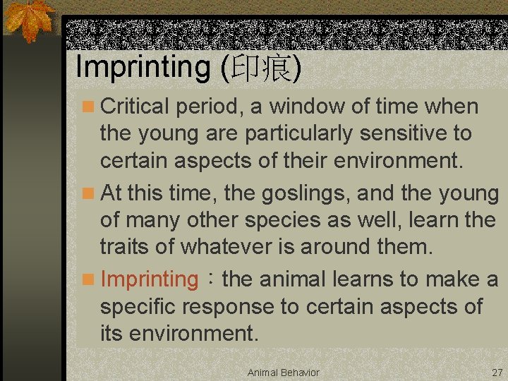 Imprinting (印痕) n Critical period, a window of time when the young are particularly