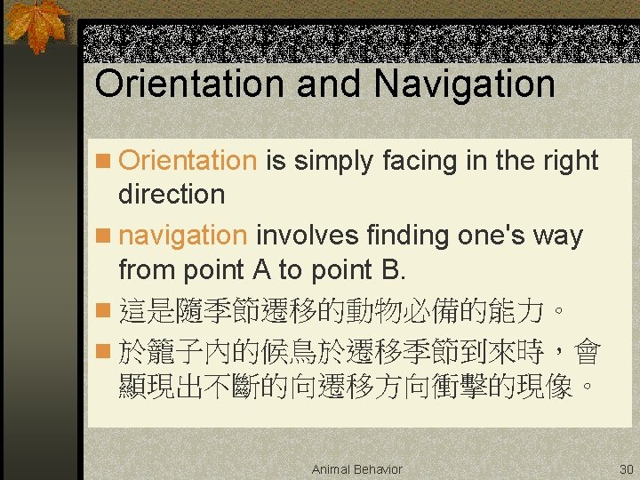 Orientation and Navigation n Orientation is simply facing in the right direction n navigation