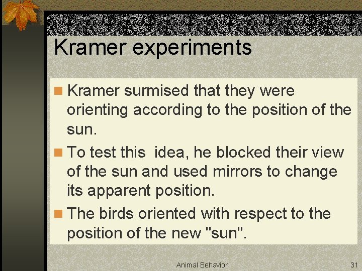 Kramer experiments n Kramer surmised that they were orienting according to the position of