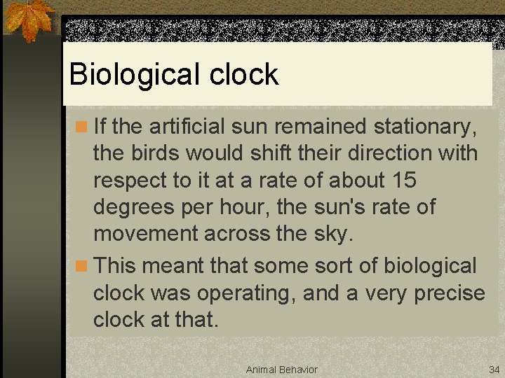 Biological clock n If the artificial sun remained stationary, the birds would shift their