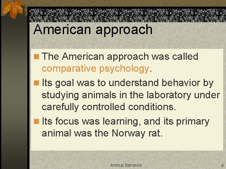 American approach n The American approach was called comparative psychology. n Its goal was