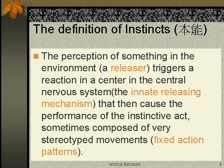 The definition of Instincts (本能) n The perception of something in the environment (a