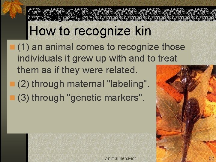 Essay 24. 3 How to recognize kin n (1) an animal comes to recognize