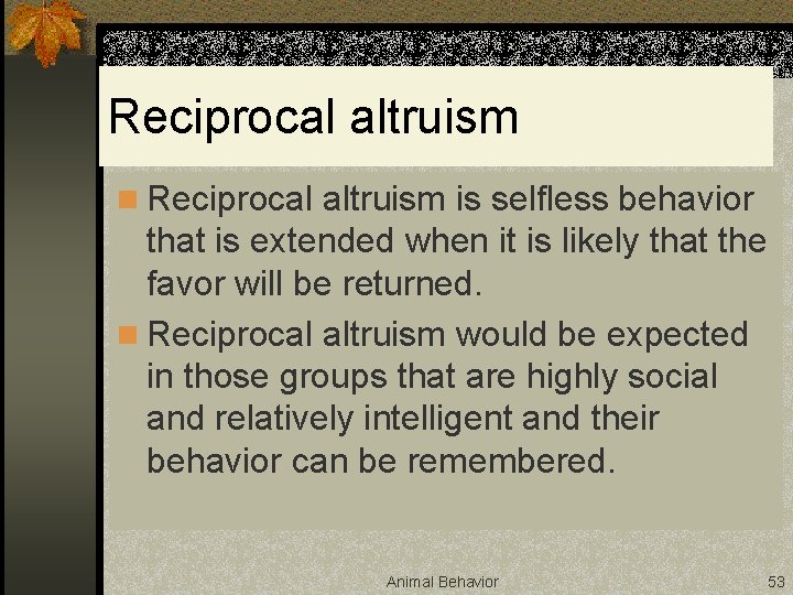 Reciprocal altruism n Reciprocal altruism is selfless behavior that is extended when it is