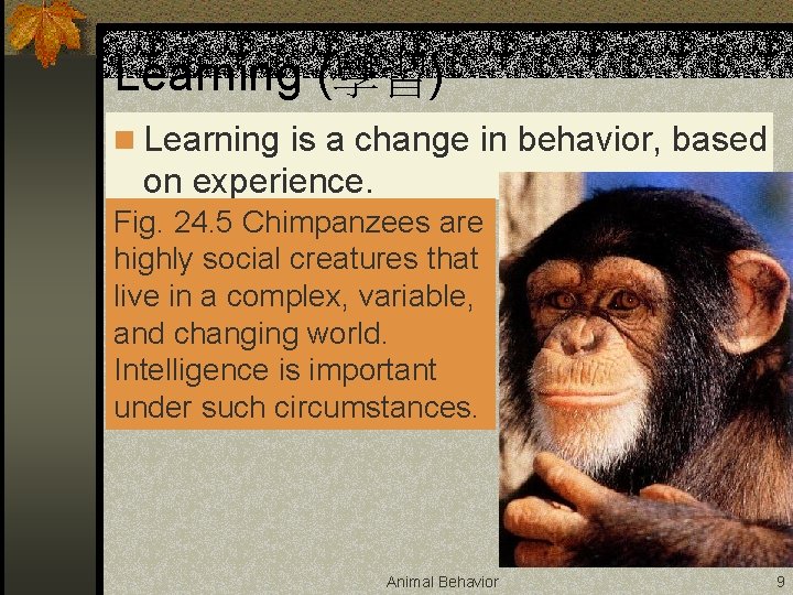 Learning (學習) n Learning is a change in behavior, based on experience. Fig. 24.