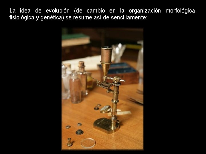 La idea de evolución (de cambio en la organización morfológica, fisiológica y genética) se