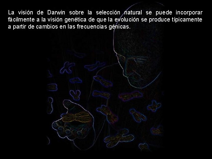 La visión de Darwin sobre la selección natural se puede incorporar fácilmente a la