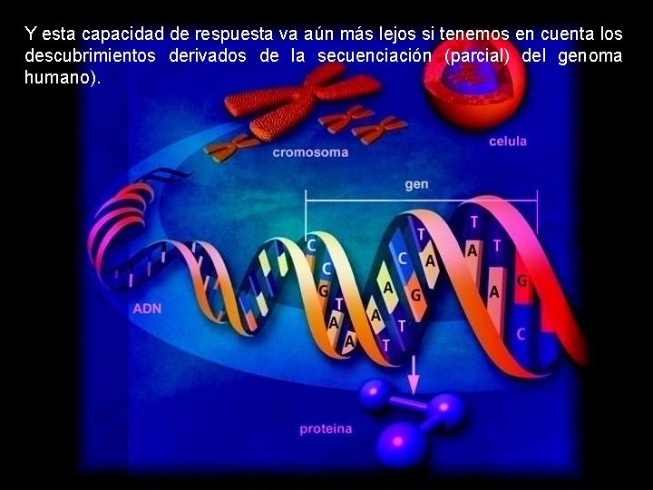 Y esta capacidad de respuesta va aún más lejos si tenemos en cuenta los