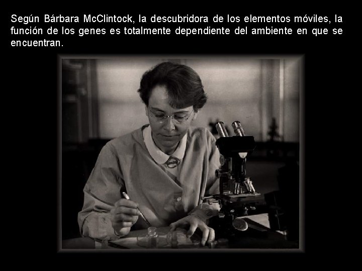 Según Bárbara Mc. Clintock, la descubridora de los elementos móviles, la función de los