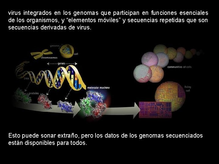 virus integrados en los genomas que participan en funciones esenciales de los organismos, y