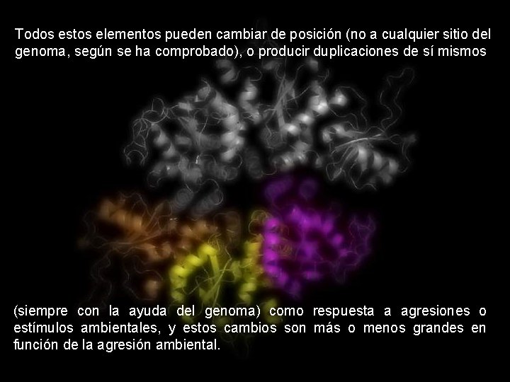 Todos estos elementos pueden cambiar de posición (no a cualquier sitio del genoma, según