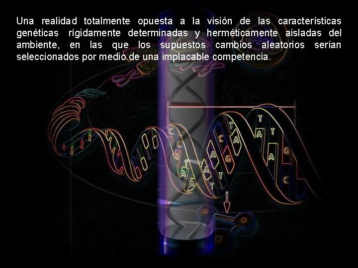 Una realidad totalmente opuesta a la visión de las características genéticas rígidamente determinadas y