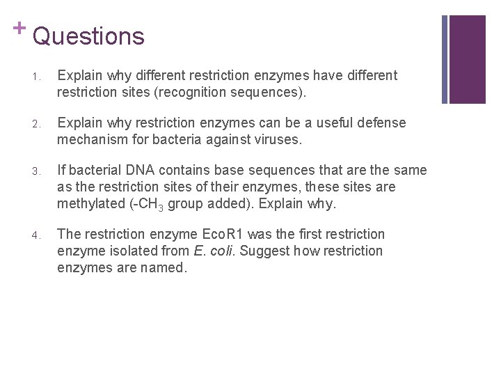 + Questions 1. Explain why different restriction enzymes have different restriction sites (recognition sequences).