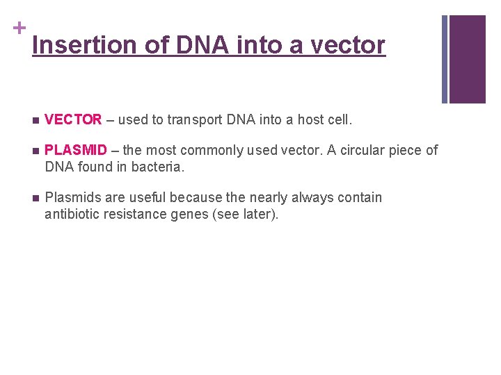 + Insertion of DNA into a vector n VECTOR – used to transport DNA