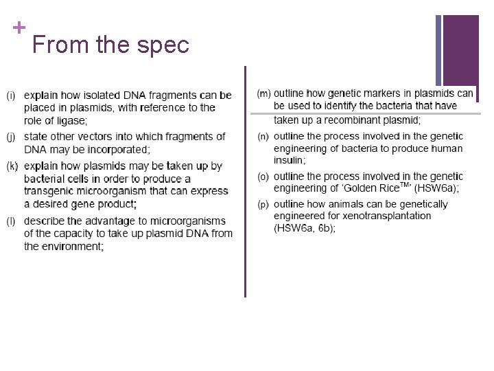 + From the spec 