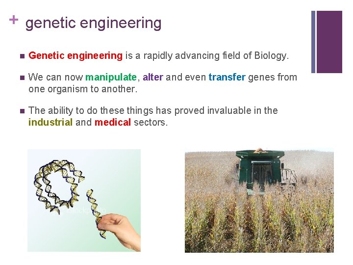 + genetic engineering n Genetic engineering is a rapidly advancing field of Biology. n