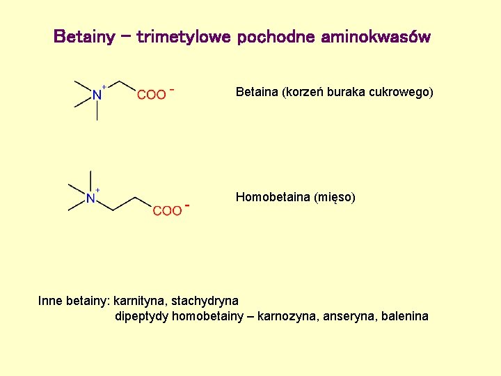 Betainy – trimetylowe pochodne aminokwasów Betaina (korzeń buraka cukrowego) Homobetaina (mięso) Inne betainy: karnityna,