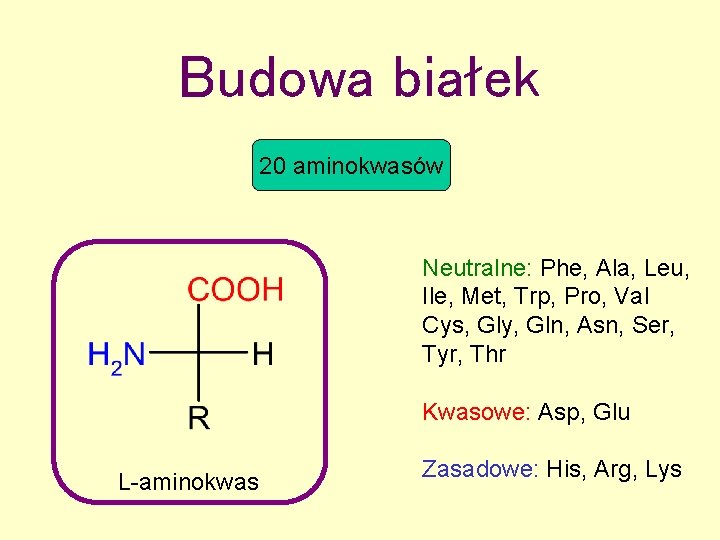 Budowa białek 20 aminokwasów Neutralne: Phe, Ala, Leu, Ile, Met, Trp, Pro, Val Cys,