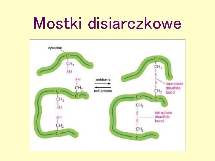 Mostki disiarczkowe 