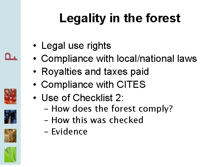 Legality in the forest • • • Legal use rights Compliance with local/national laws