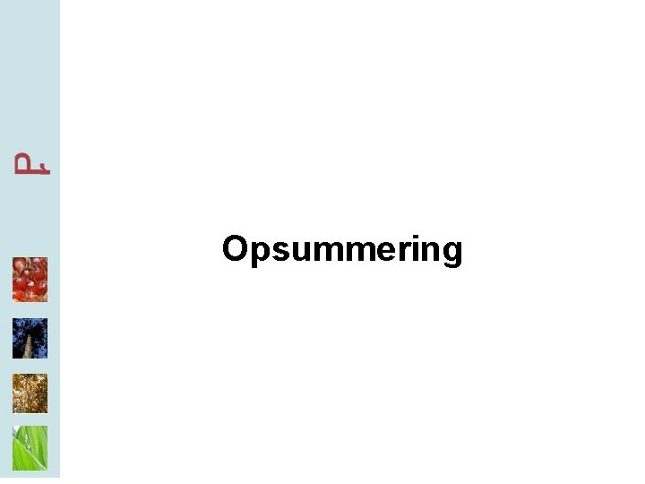 Opsummering 