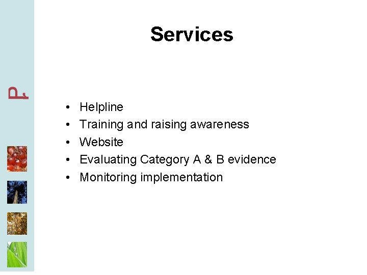 Services • • • Helpline Training and raising awareness Website Evaluating Category A &