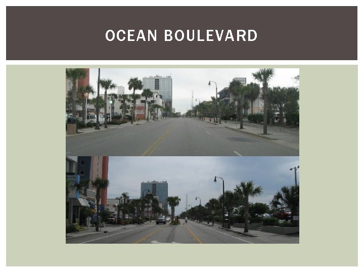 OCEAN BOULEVARD 