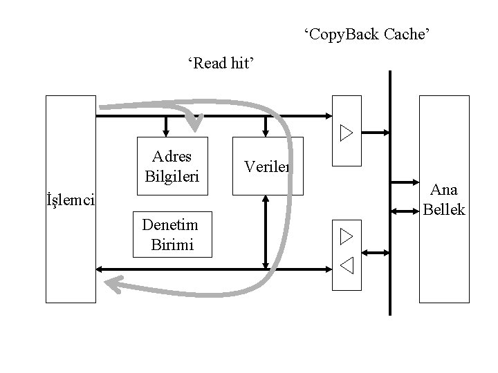 ‘Copy. Back Cache’ ‘Read hit’ Adres Bilgileri İşlemci Denetim Birimi Veriler Ana Bellek 