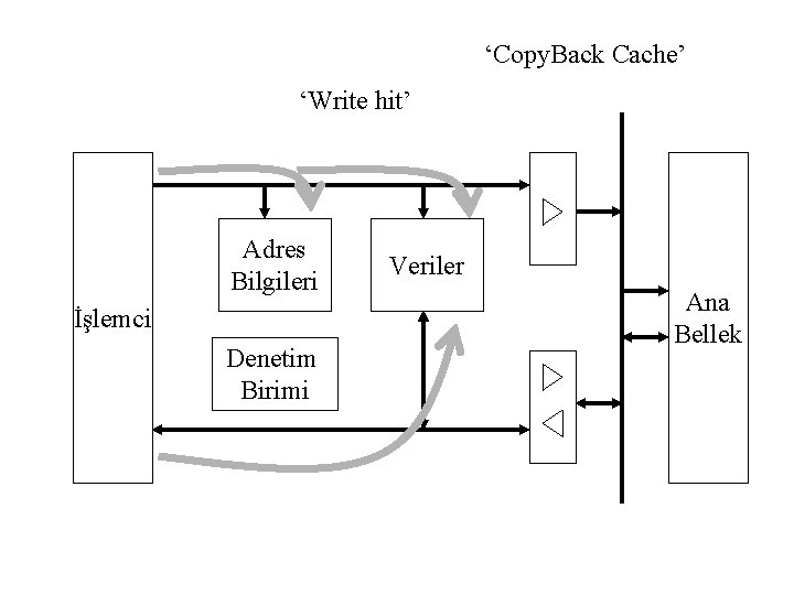 ‘Copy. Back Cache’ ‘Write hit’ Adres Bilgileri İşlemci Denetim Birimi Veriler Ana Bellek 