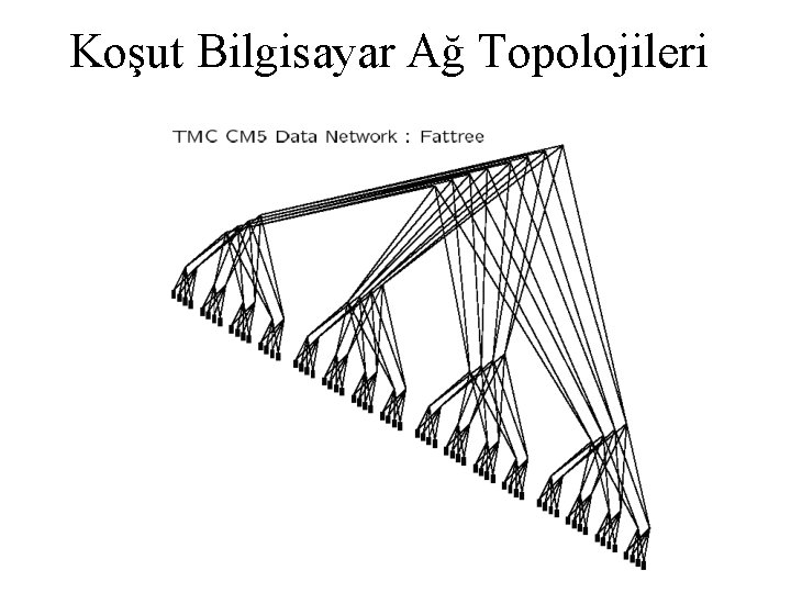 Koşut Bilgisayar Ağ Topolojileri 