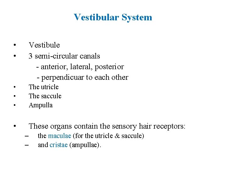 Vestibular System • • Vestibule 3 semi-circular canals - anterior, lateral, posterior - perpendicuar Vestibular System • • Vestibule 3 semi-circular canals - anterior, lateral, posterior - perpendicuar