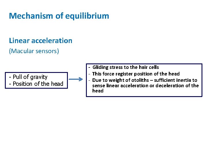 Mechanism of equilibrium Linear acceleration (Macular sensors) - Pull of gravity - Position of Mechanism of equilibrium Linear acceleration (Macular sensors) - Pull of gravity - Position of