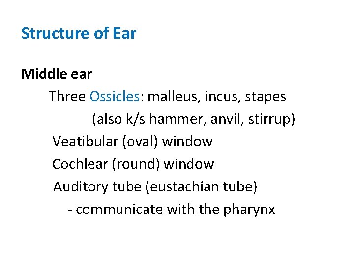 Structure of Ear Middle ear Three Ossicles: malleus, incus, stapes (also k/s hammer, anvil, Structure of Ear Middle ear Three Ossicles: malleus, incus, stapes (also k/s hammer, anvil,