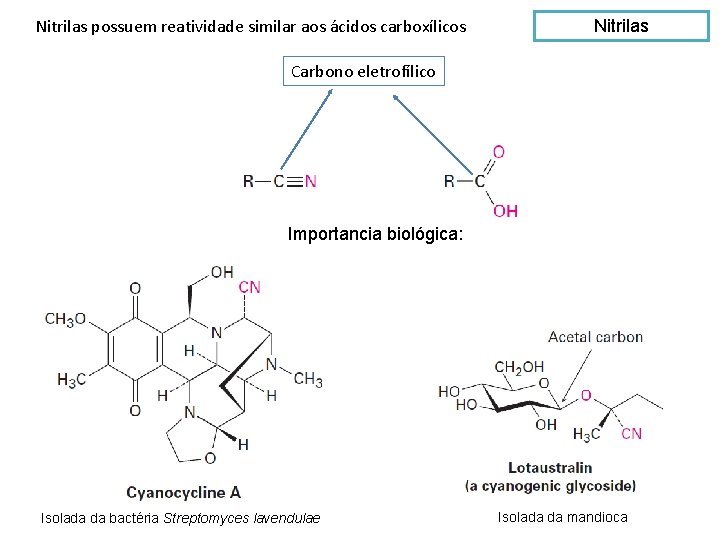 Nitrilas possuem reatividade similar aos ácidos carboxílicos Nitrilas Carbono eletrofílico Importancia biológica: Isolada da