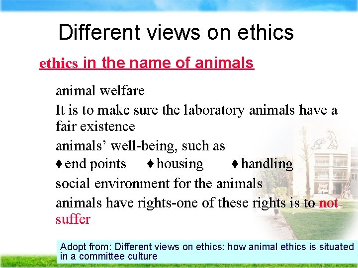 Different views on ethics in the name of animals Ä animal welfare Ä It