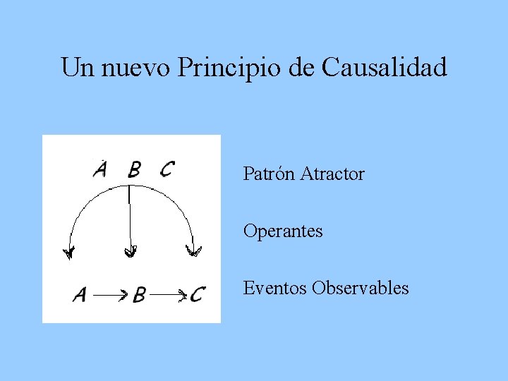 Un nuevo Principio de Causalidad Patrón Atractor Operantes Eventos Observables 