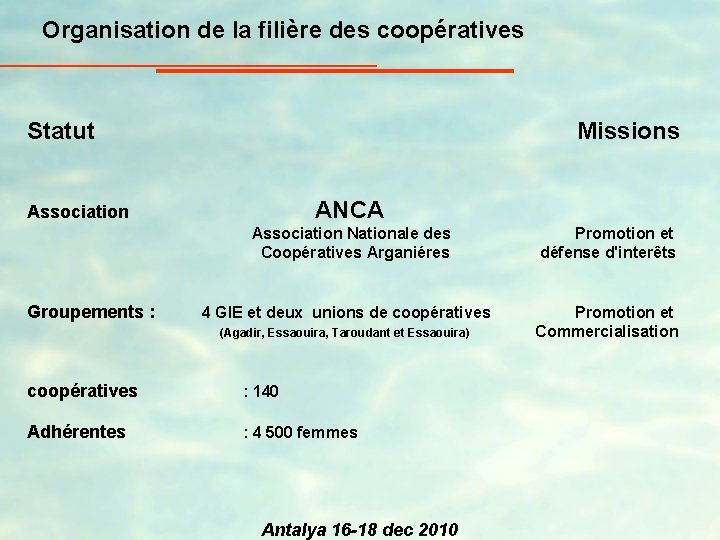 Organisation de la filière des coopératives Statut Missions ANCA Association Nationale des Coopératives Arganiéres
