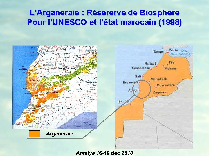 L’Arganeraie : Résererve de Biosphère Pour l’UNESCO et l’état marocain (1998) Arganeraie Antalya 16