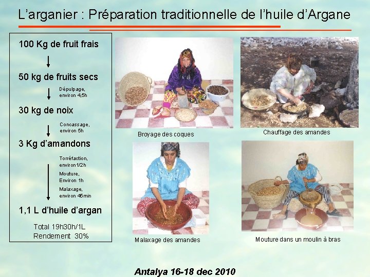 L’arganier : Préparation traditionnelle de l’huile d’Argane 100 Kg de fruit frais 50 kg