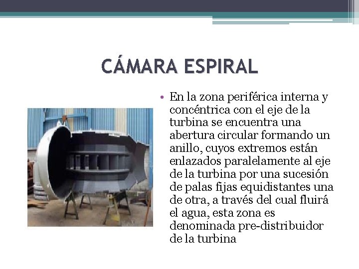 CÁMARA ESPIRAL • En la zona periférica interna y concéntrica con el eje de